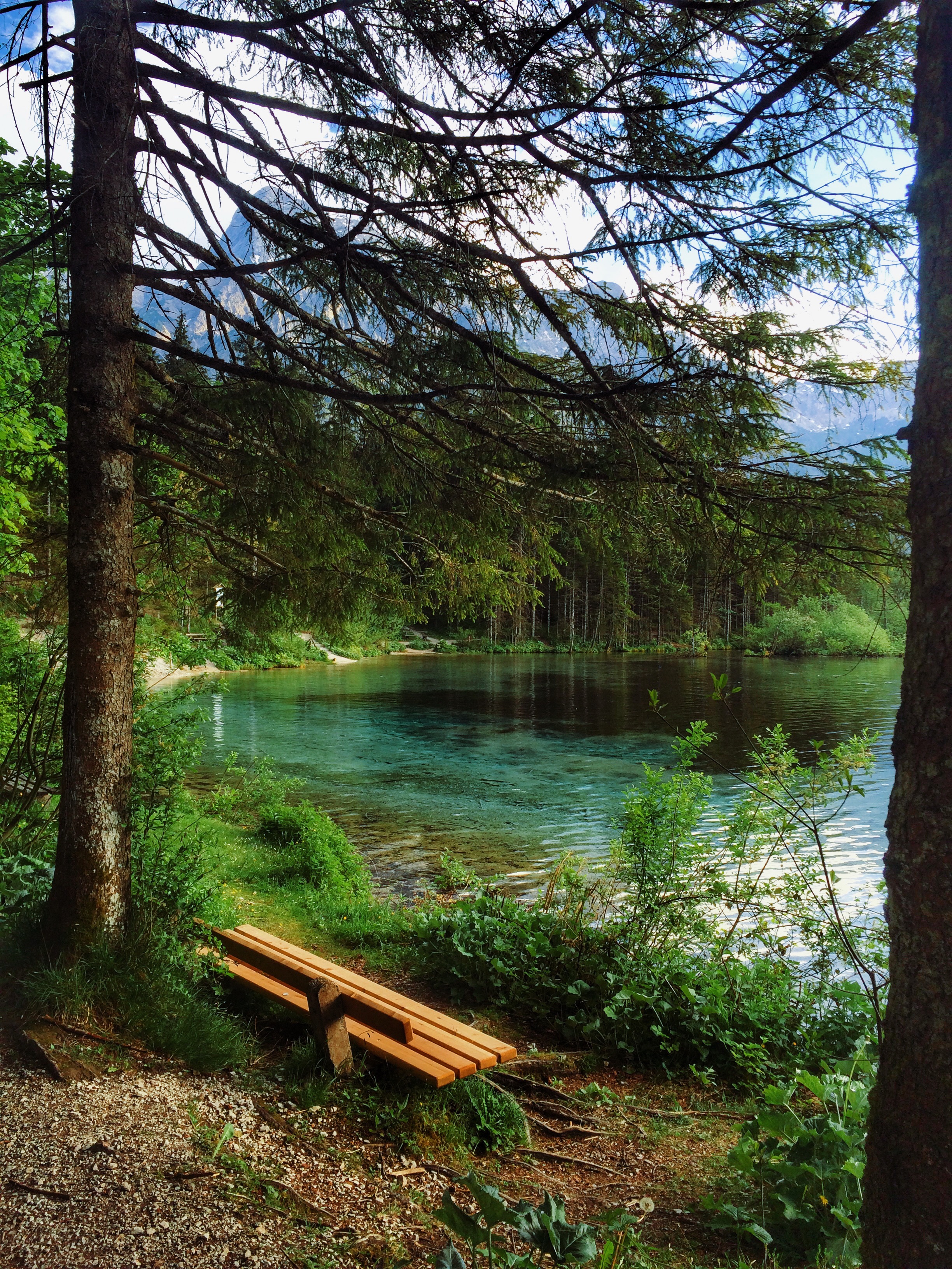 Processed with VSCO with q3 preset