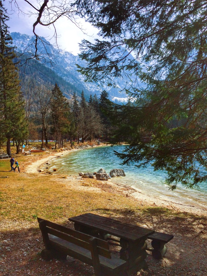 Processed with VSCO with q3 preset